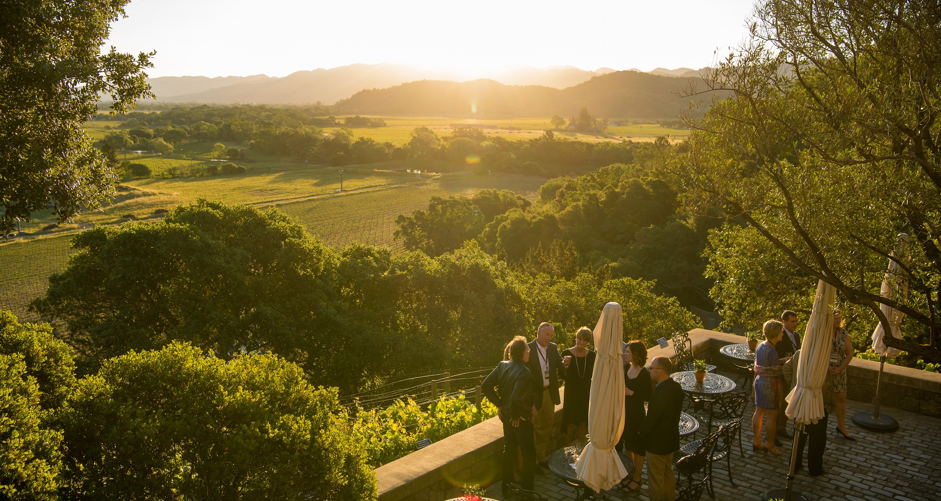 Silverado Vineyards Lower Terrace Sunset Photo HR Credit Bob McClenahan Photography 1920x1024